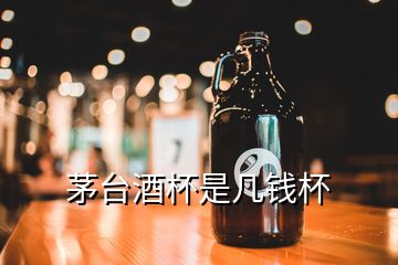 茅臺(tái)酒杯是幾錢(qián)杯