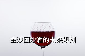 金沙回沙酒的未來規(guī)劃