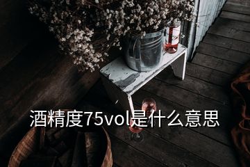 酒精度75vol是什么意思