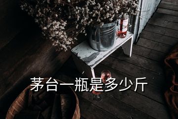 茅臺(tái)一瓶是多少斤