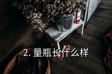 2. 量瓶長什么樣