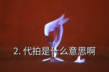 2. 代拍是什么意思啊