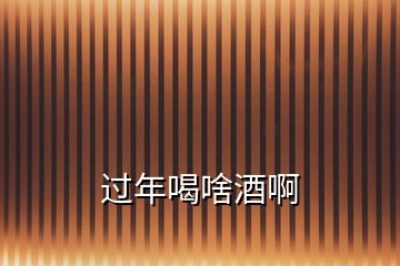 過(guò)年喝啥酒啊