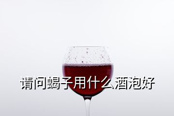 請問蝎子用什么酒泡好