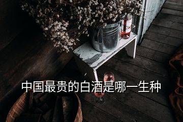 中國(guó)最貴的白酒是哪一生種