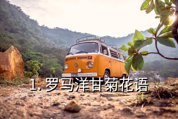 1. 羅馬洋甘菊花語