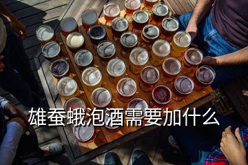 雄蠶蛾泡酒需要加什么