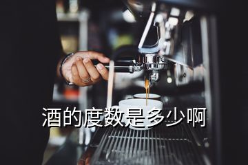 酒的度數(shù)是多少啊