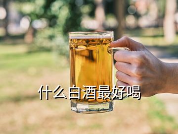 什么白酒最好喝