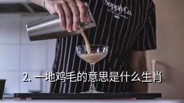 2. 一地雞毛的意思是什么生肖