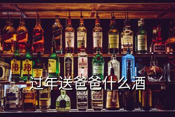 過(guò)年送爸爸什么酒