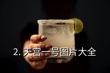 2. 天宮一號圖片大全