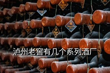 瀘州老窖有幾個系列酒廠