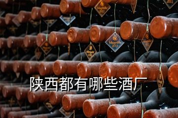 陜西都有哪些酒廠