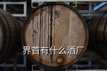 界首有什么酒廠