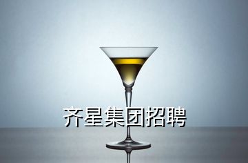 齊星集團招聘