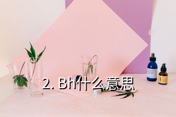 2. Bh什么意思