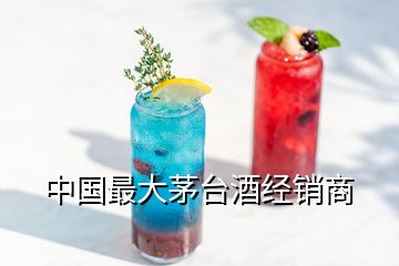 中國(guó)最大茅臺(tái)酒經(jīng)銷商