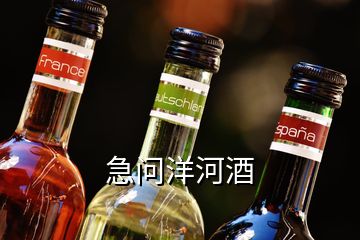 急問洋河酒