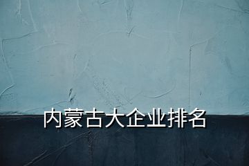 內蒙古大企業(yè)排名