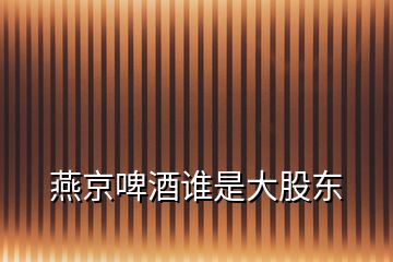 燕京啤酒誰(shuí)是大股東