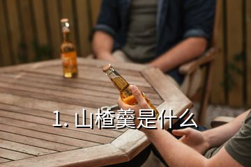 1. 山楂羹是什么