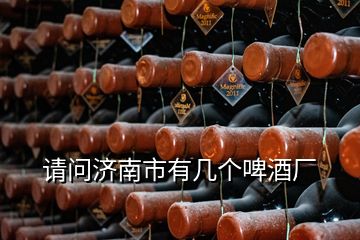 請(qǐng)問(wèn)濟(jì)南市有幾個(gè)啤酒廠