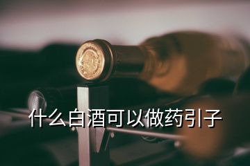 什么白酒可以做藥引子