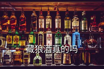 藏狼酒真的嗎