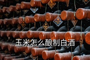 玉米怎么釀制白酒