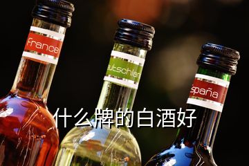 什么牌的白酒好