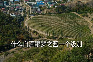 什么白酒跟夢之藍(lán)一個級別