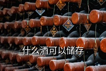 什么酒可以儲(chǔ)存