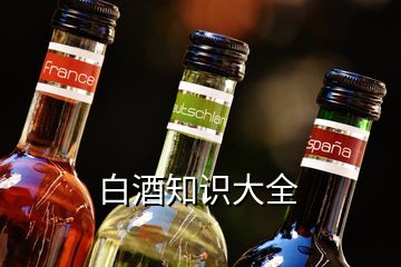 白酒知識(shí)大全