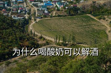 為什么喝酸奶可以解酒