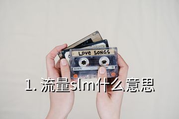 1. 流量slm什么意思