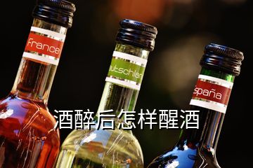 酒醉后怎樣醒酒