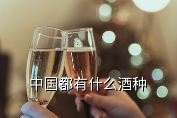 中國都有什么酒種