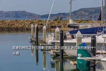 我是特種兵之利刃出鞘里面何晨光提到王艷兵家的酒是什么酒