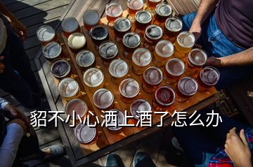 貂不小心灑上酒了怎么辦