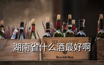 湖南省什么酒最好啊