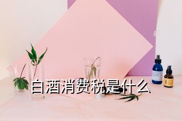 白酒消費(fèi)稅是什么