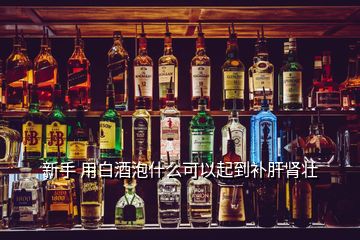 新手 用白酒泡什么可以起到補肝腎壯