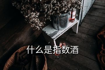 什么是指數(shù)酒