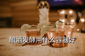 釀酒發(fā)酵用什么容器好