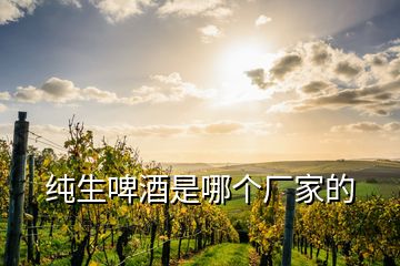 純生啤酒是哪個(gè)廠家的