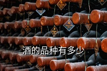 酒的品種有多少