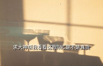 求大神幫我看看這款I(lǐng)WC是不是真貨