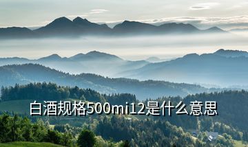 白酒規(guī)格500mi12是什么意思