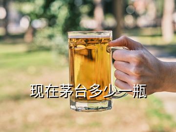 現(xiàn)在茅臺(tái)多少一瓶